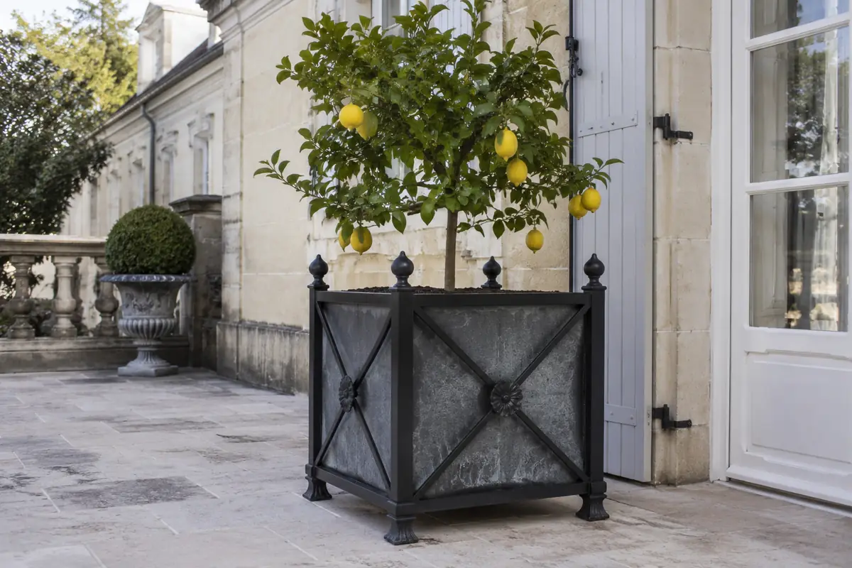 Bac à agrumes en fer forgé sur mesure