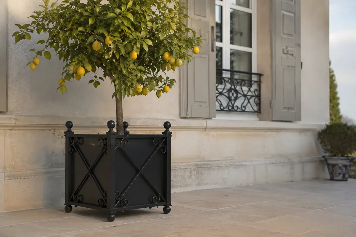 Caisse de Versailles en fer forgé sur mesure